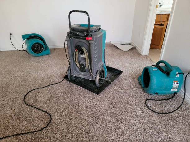 Best Water damage restoration near me  in Murfreesboro, NC