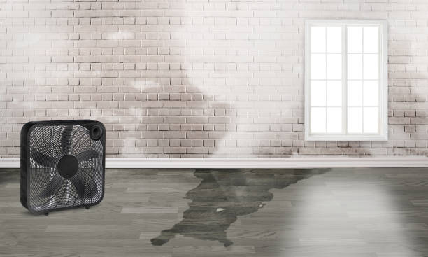 Best Residential water damage restoration  in Murfreesboro, NC