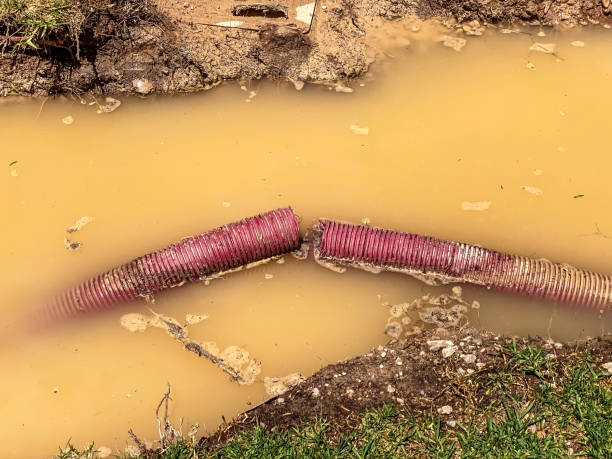 Best Water damage restoration specialists  in Murfreesboro, NC